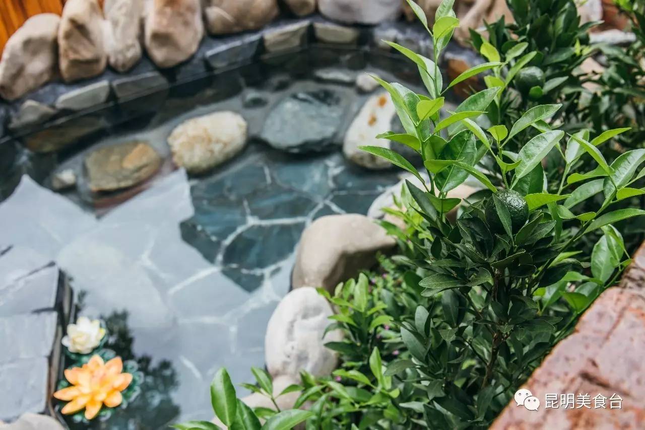 云南最神秘的六个野温泉，峡谷弥漫雾气小鱼咬脚，车底盘常常被刮