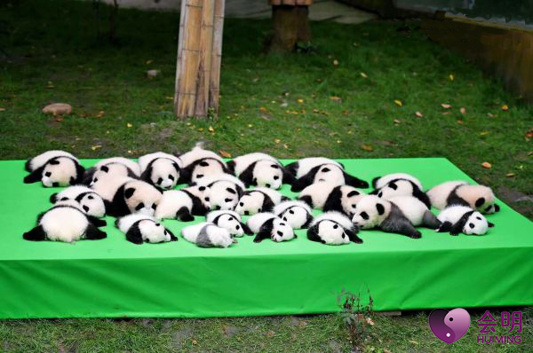 男嘉宾如何克服密集恐惧症,如何克服人体密集恐惧症