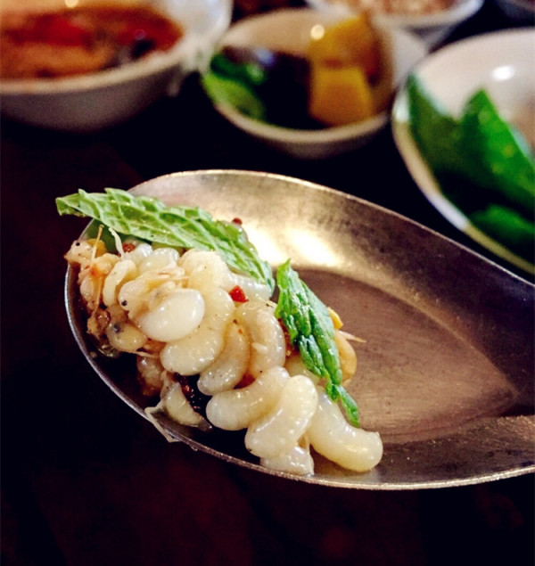 这些美味的虫子你敢吃吗,盘点可以吃的虫子