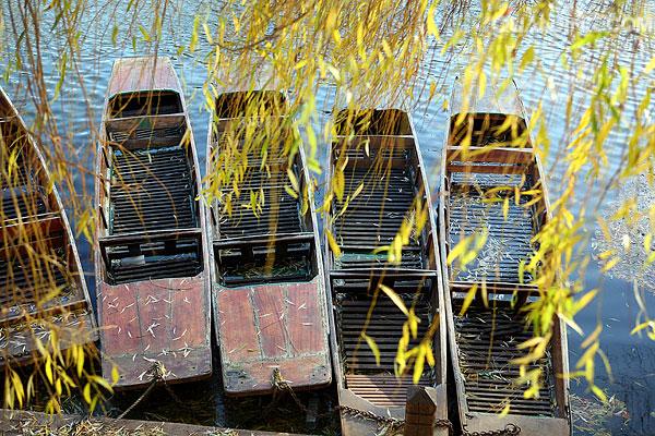 上海英国留学申请中介最新排名,上海十大留学中介英国