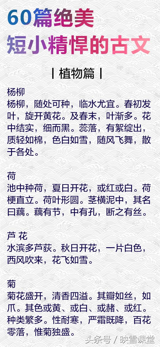读尽16篇通俗易懂的小古文,60篇绝美小古文