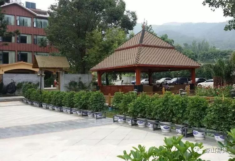 瑗挎槍鍗椾簹涓芥櫙搴﹀亣閰掑簵,鍑夊北鏄撹揣鍟嗗