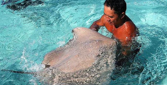 看完这本书你就明白了什么道理,看完这篇你就明白了