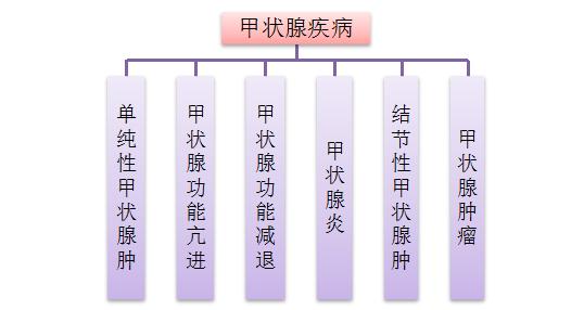 甲状腺不好总会肩颈紧张,甲状腺不好容易发脾气