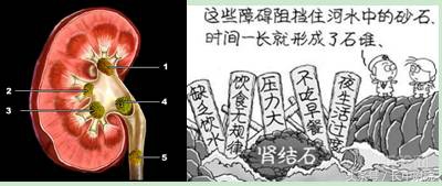 男人到了30岁还有病吗,男人得了这三种病