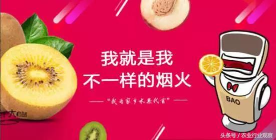 干货如何赚钱,干货如何做大