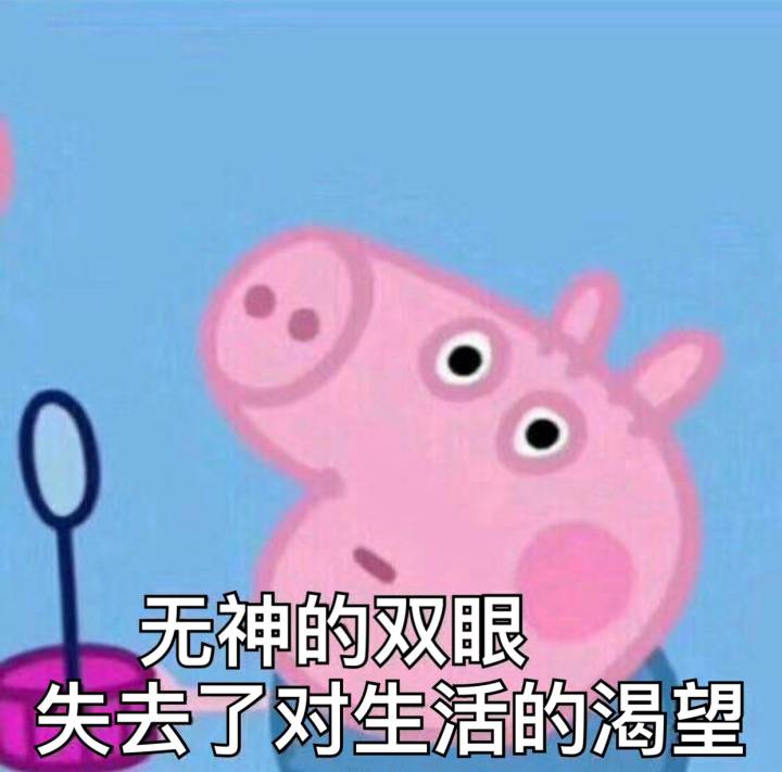 小猪佩奇可爱表情包动图,小猪佩奇的那些鄙视表情包