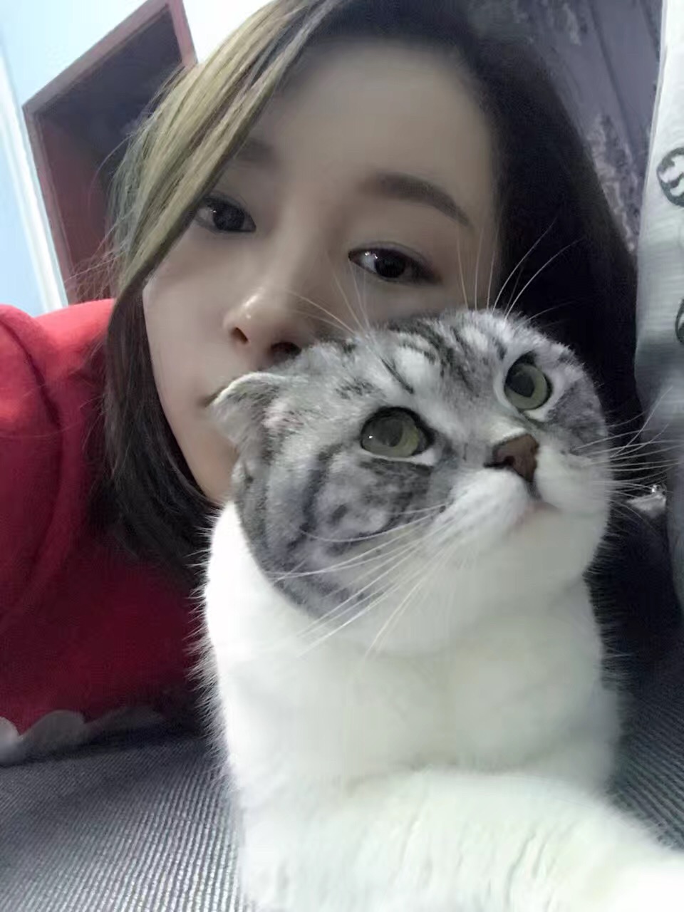 怀孕和养猫可否兼得？