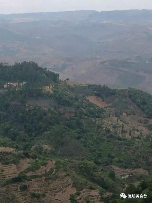 云南最神秘的六个野温泉，峡谷弥漫雾气小鱼咬脚，车底盘常常被刮