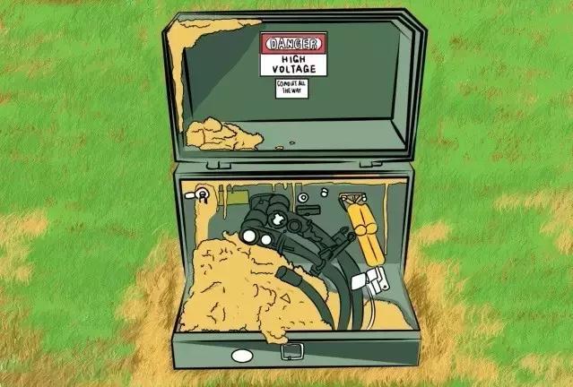 在户外要怎么关注红火蚁,高度警惕红火蚁