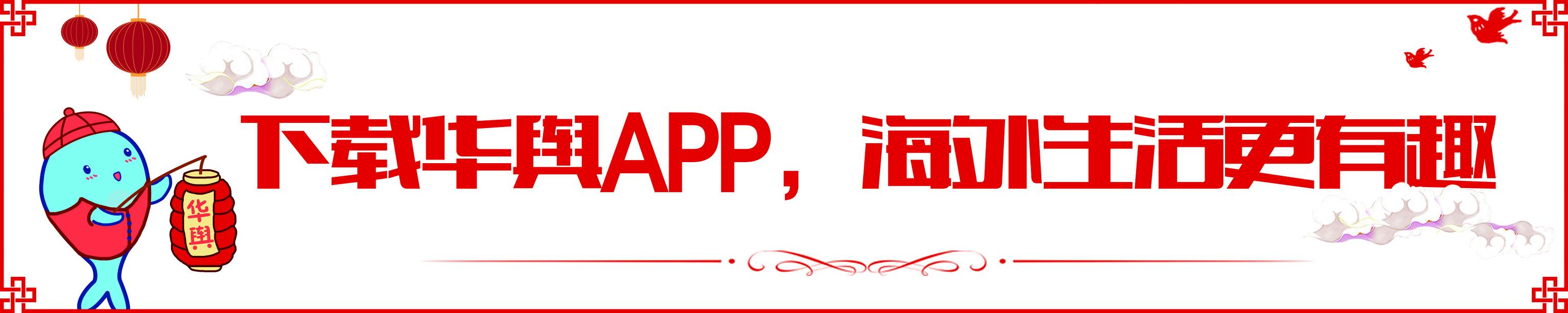 中国驾照在澳大利亚能开货车吗,中国驾照在澳洲需要重头考吗