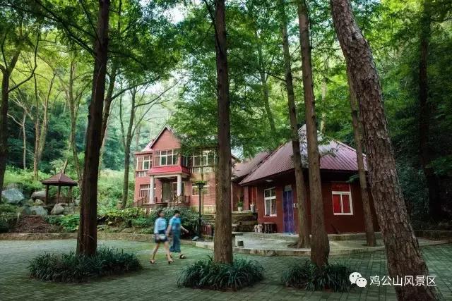 鸡公山探险之旅,鸡公山自然保护区景点