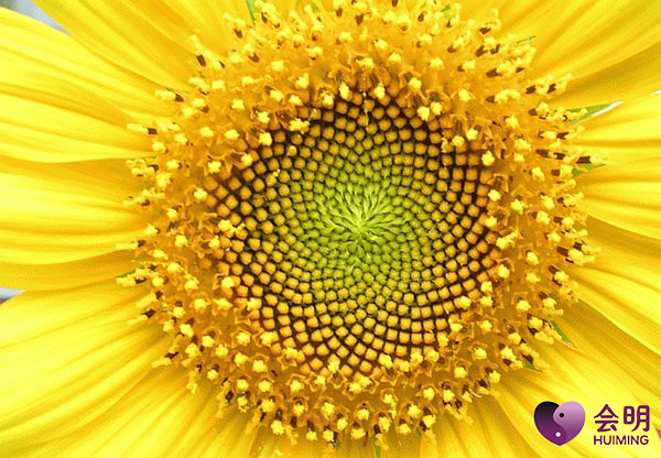 男嘉宾如何克服密集恐惧症,如何克服人体密集恐惧症