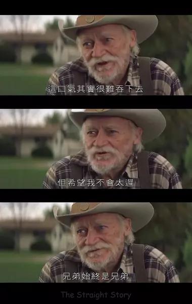 世界10部最值得看的公路电影,令人震撼的公路