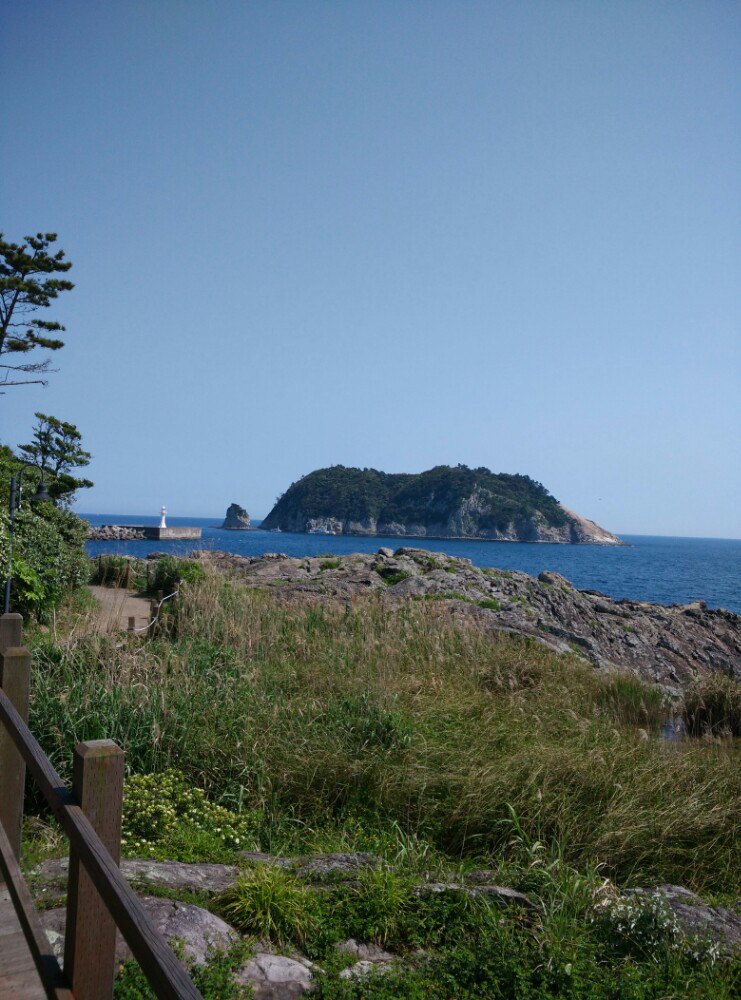 出国办驾照违法吗,出国前办理国际驾照靠谱吗