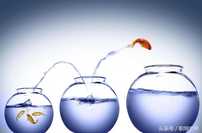 遇到极品上司,遇到极品经理该怎么把他弄走