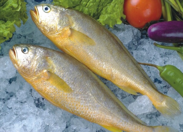 中国人常吃的鱼,常吃的海鱼种类及图片