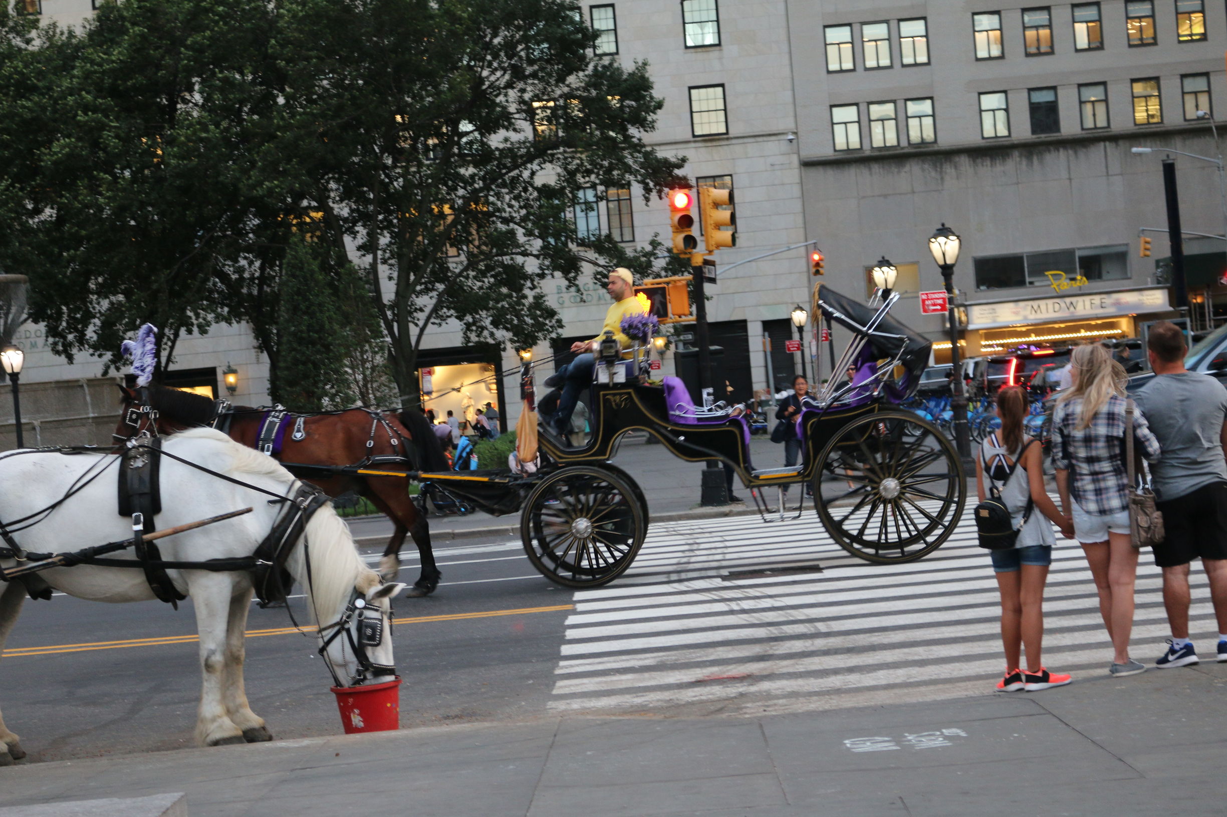 美国纽约旅游十五天行程表,记录一下纽约之旅