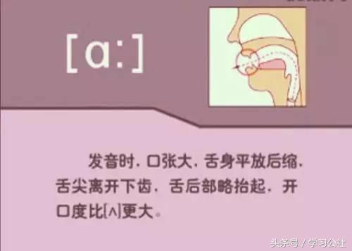 小妞老师音标发音48个教学视频,音标发音48个正确发音讲解视频