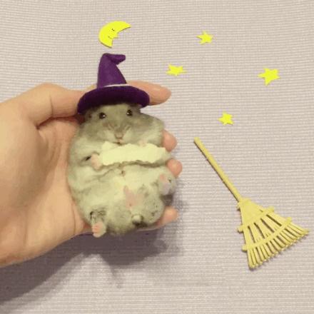 一只萌萌的吃货仓鼠，在角色扮演，还不忘记爪子里的好吃的