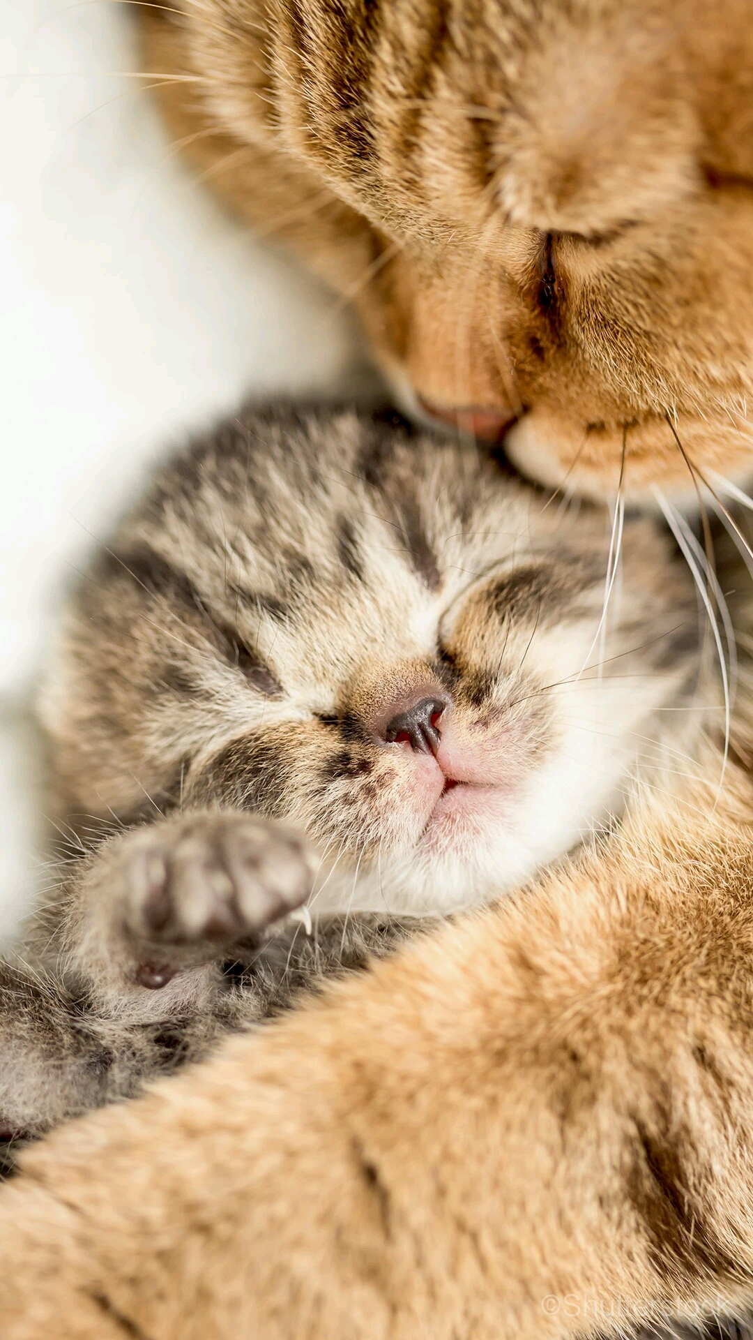 超多高清好看的壁纸,归来的奥特曼壁纸