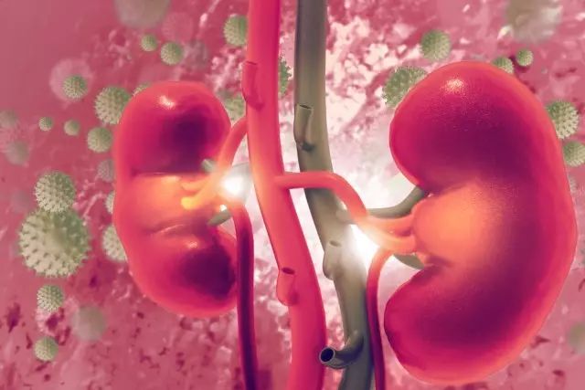 身体哪些症状说明肾脏出了问题,身体出现这些症状当心你的肾