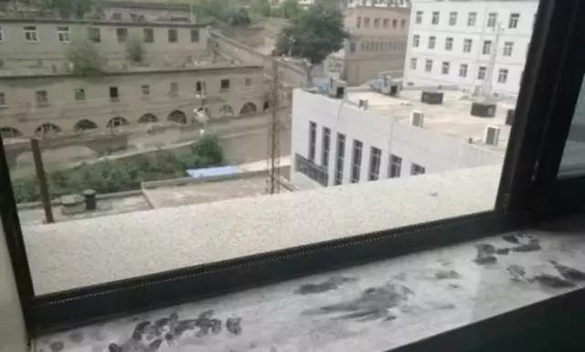 女人怀孕生产鬼胎电影,女子怀孕自己生产电视剧