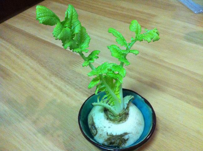 燃气灶顽固油污怎么清洗,燃气灶黑乎乎的顽固油污很难清洗