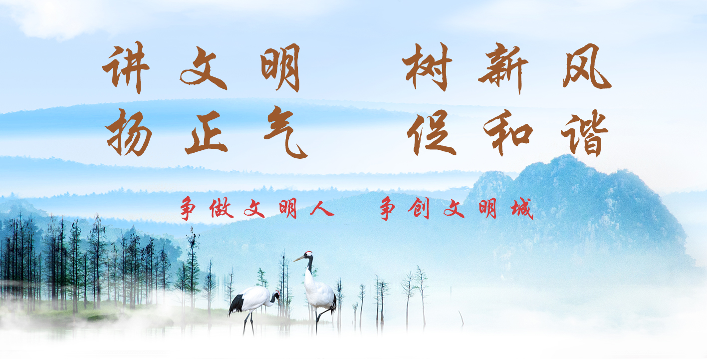 敏捷豪掷18.65亿拍下约196亩地块，内配公立大幼儿园、公园等设施！