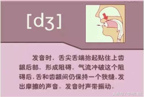 小妞老师音标发音48个教学视频,音标发音48个正确发音讲解视频