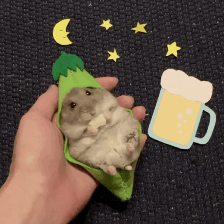 一只萌萌的吃货仓鼠，在角色扮演，还不忘记爪子里的好吃的