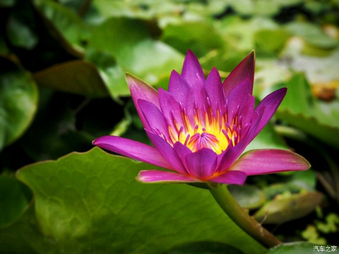 古迹寻访越南芽庄占婆塔,探索越南神秘长发村