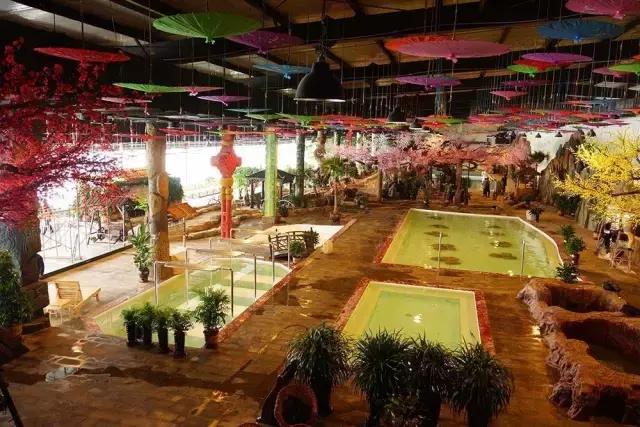 居游大事｜金秋套票正式发售啦！这次两个套票任你选！