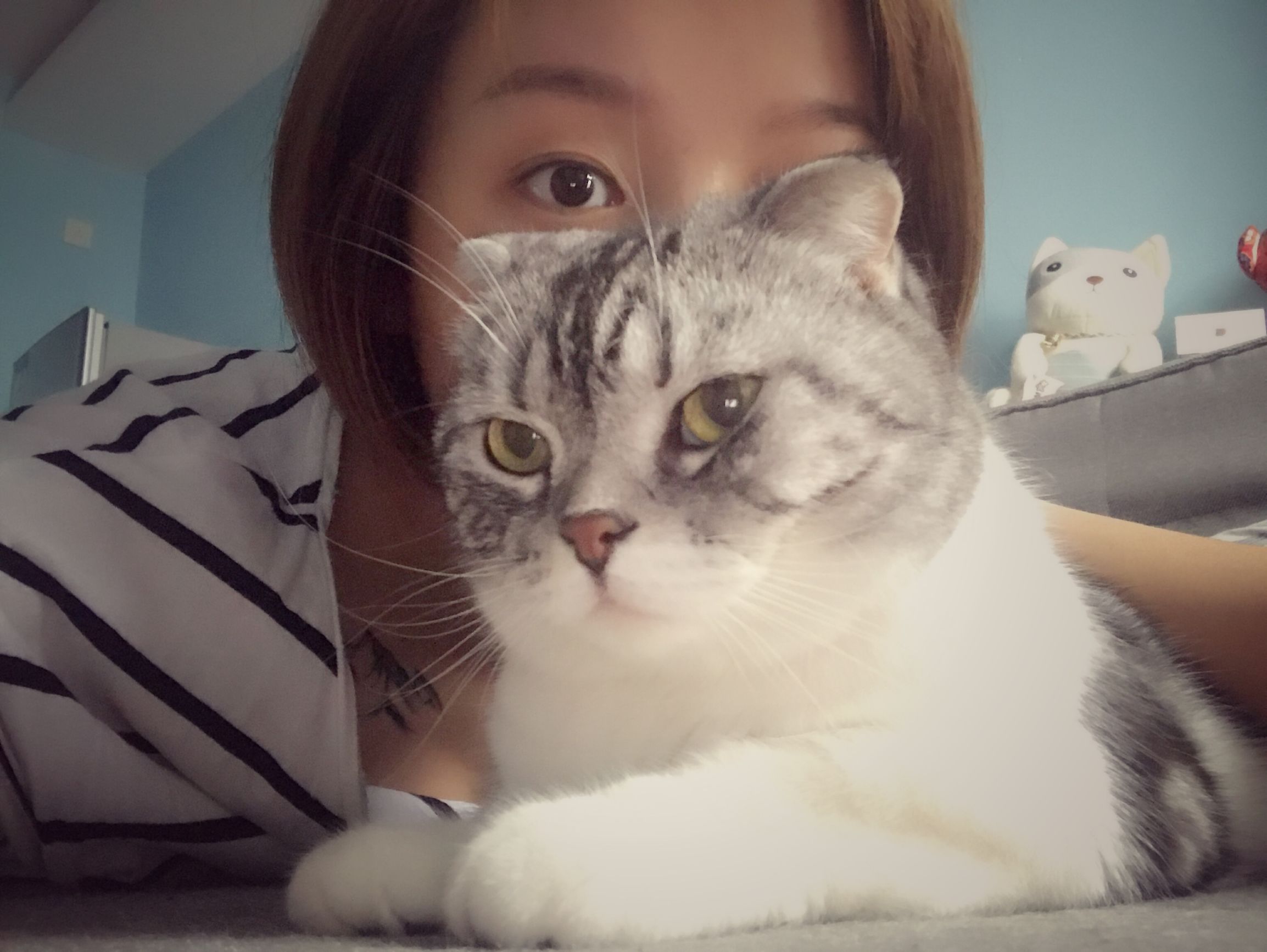 怀孕和养猫可否兼得？