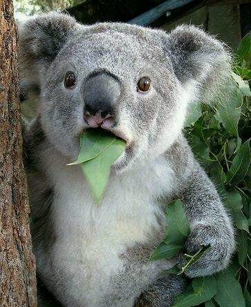 癌症精准医疗治疗一个针剂310万，这家公司会是下一个医药巨头吗