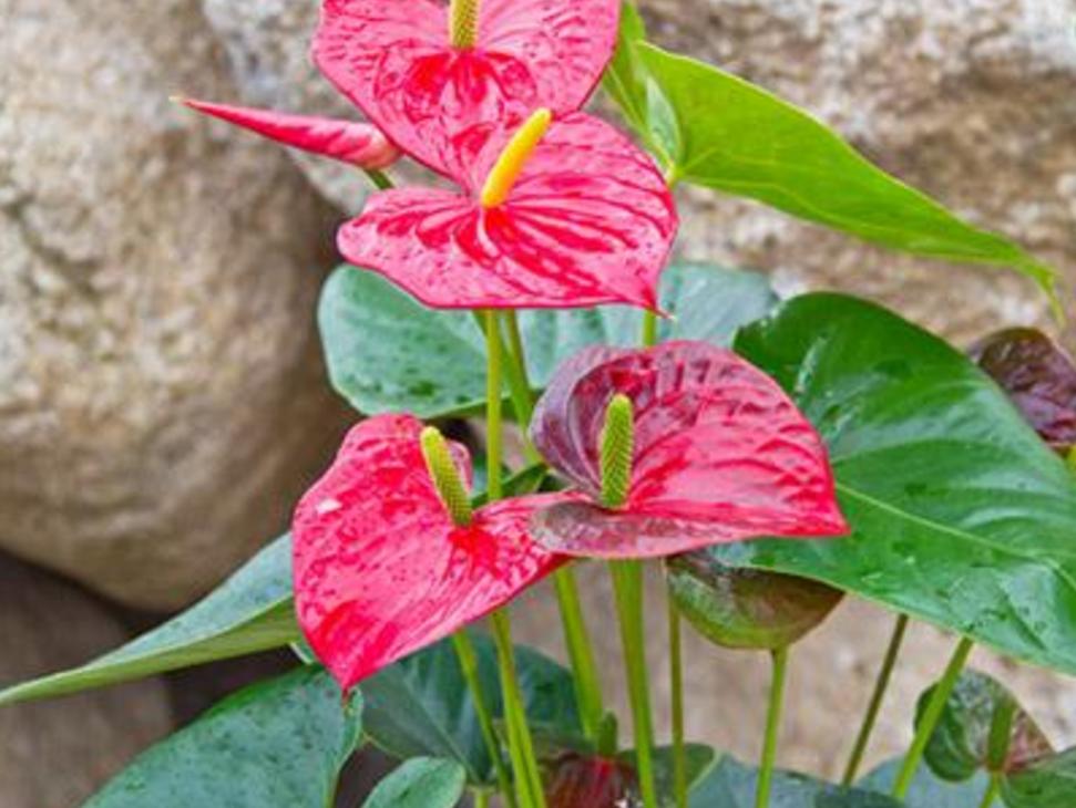 做人要有心机文案,做人要有心机视频