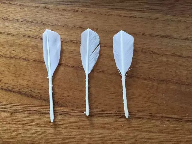 从*片毛**、球头、胶水和工艺，来判断羽毛球的质量，是最可靠的方法