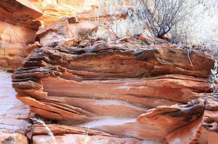 关于澳洲的一切,澳大利亚国王峡谷