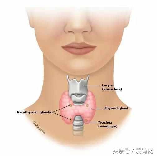 肾性骨病都有哪些症状,肾性骨病一定会有肾脏病表现吗