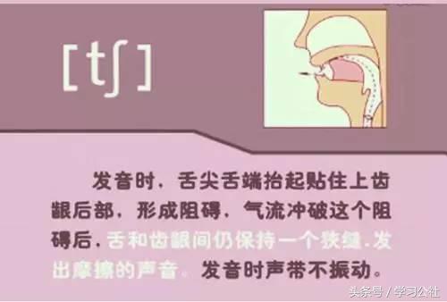小妞老师音标发音48个教学视频,音标发音48个正确发音讲解视频