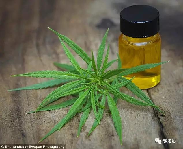 脑癌晚期医生让其准备后事，但女子喝了一种油，肿瘤竟消失了！