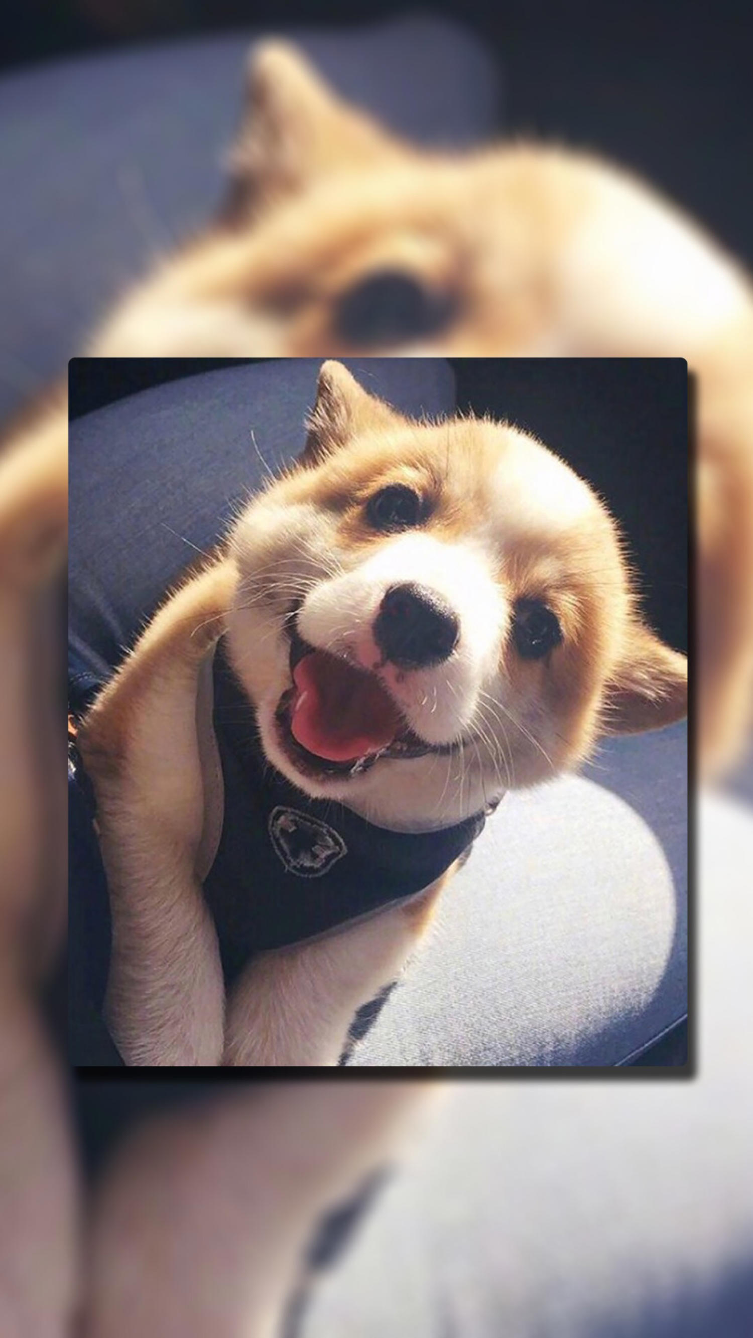 超多高清好看的壁纸,归来的奥特曼壁纸