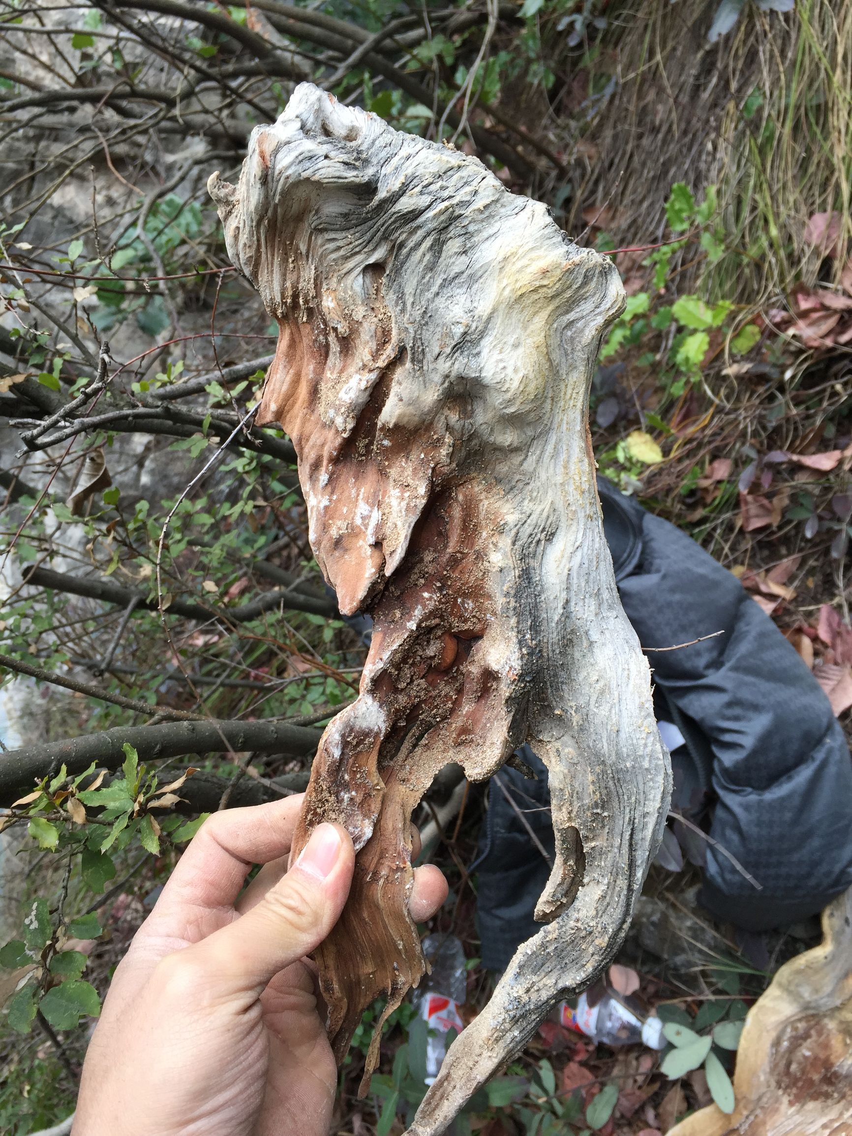 崖柏毛料去皮的正确打开方式,用纱布手磨崖柏毛料技巧