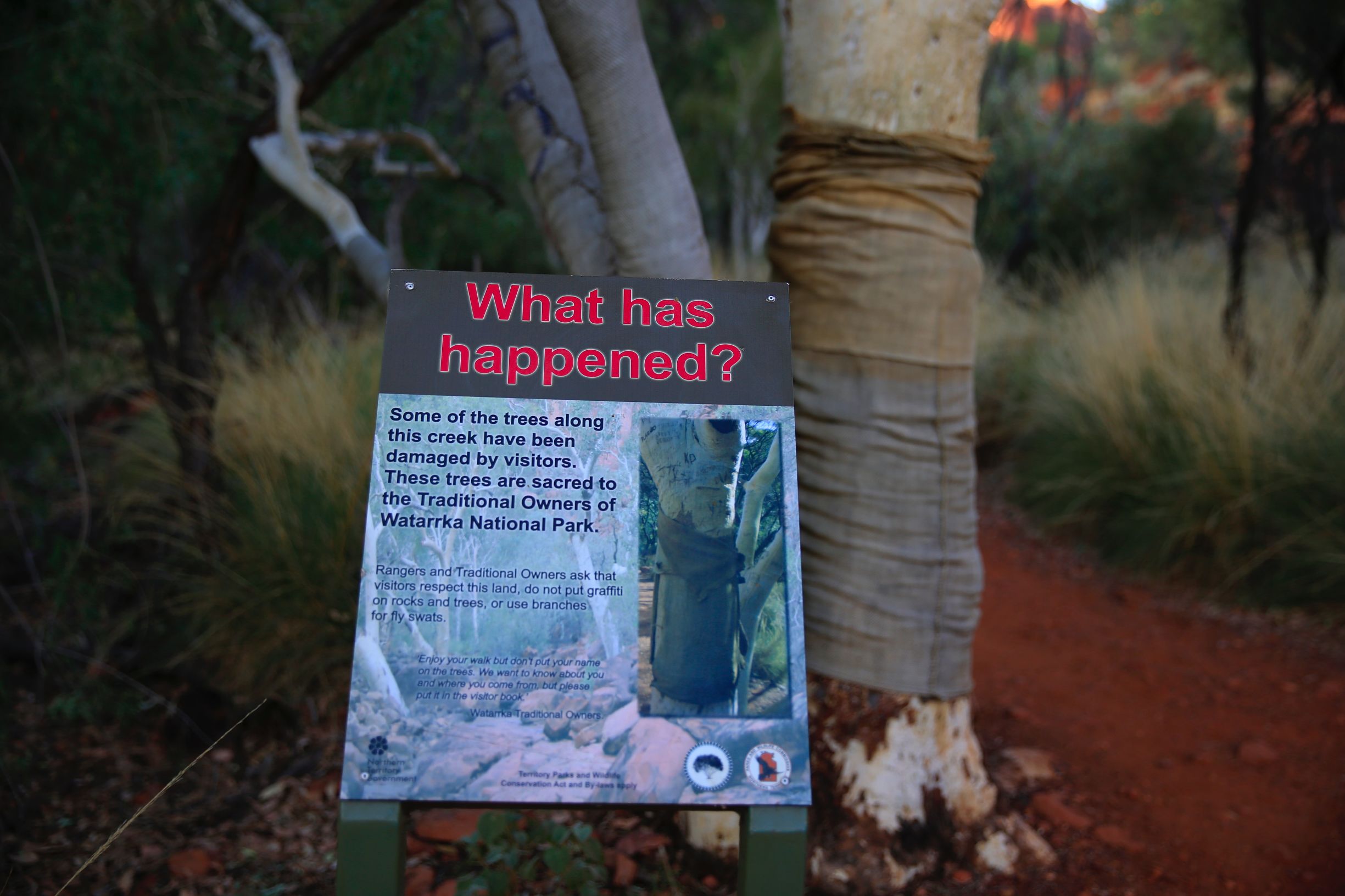 关于澳洲的一切,澳大利亚国王峡谷