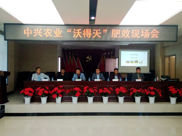 水稻丰收的喜悦,水稻丰收喜悦