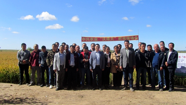 水稻丰收的喜悦,水稻丰收喜悦