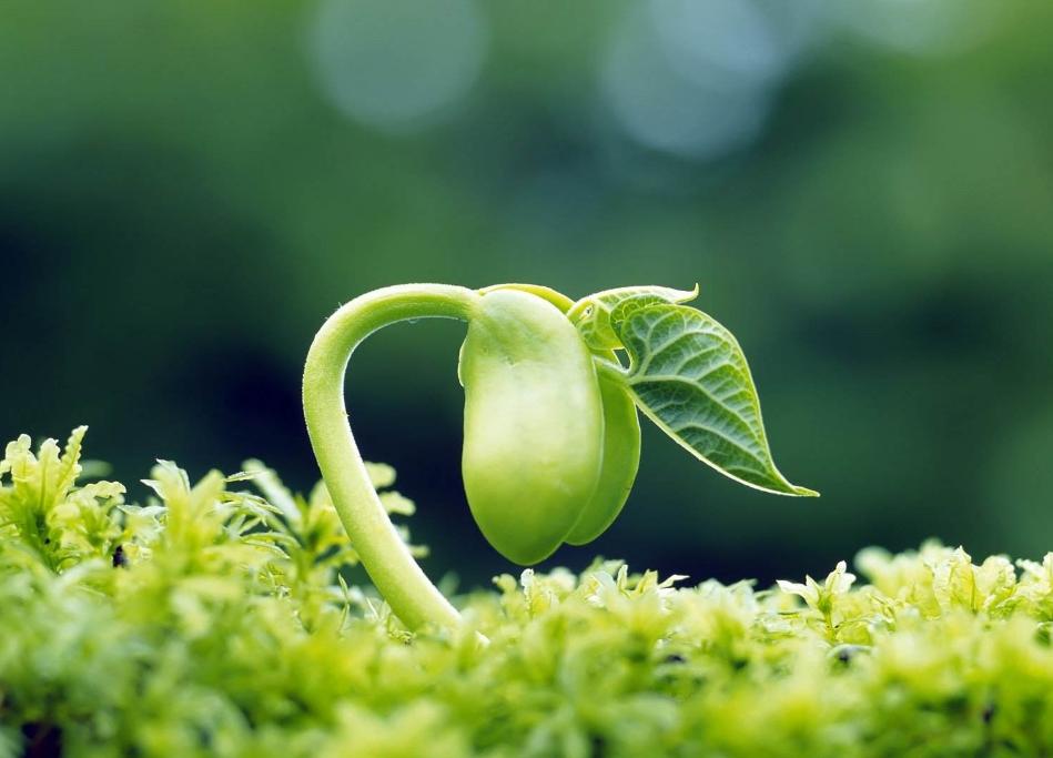 经常被小人欺负该怎么办,经常被人欺负的人适合干什么