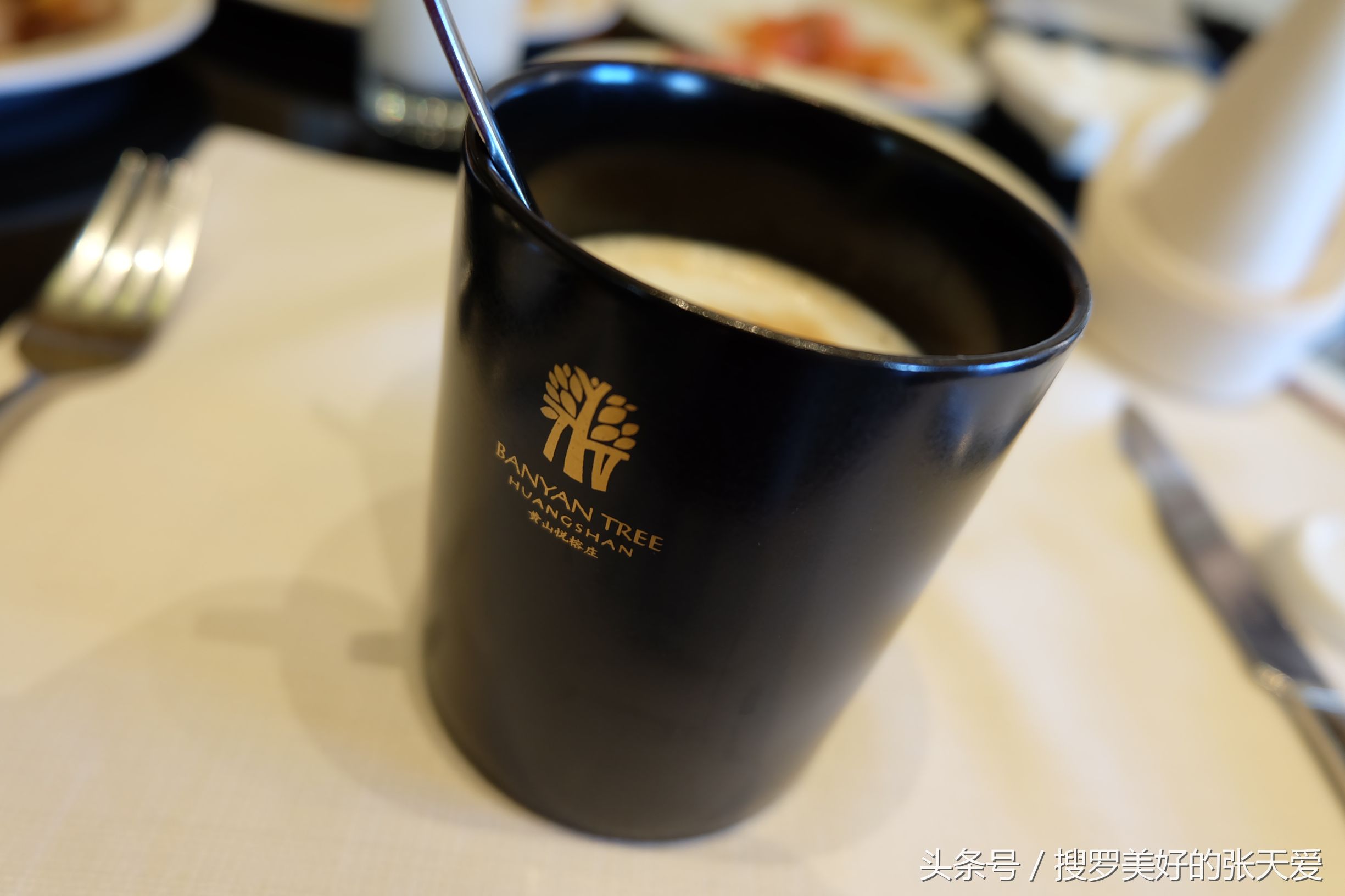 自然环境酒店,最美黄山酒店