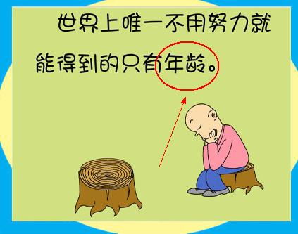 女孩转专业考研最好的专业,考研有哪些选择