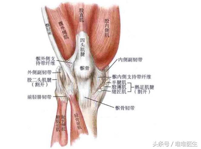 膝前左侧疼痛,膝前痛康复训练